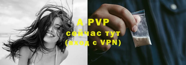 стафф Жердевка