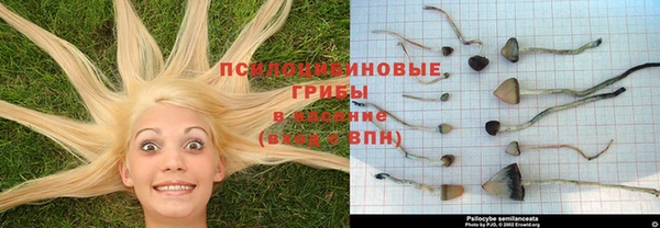 стафф Жердевка
