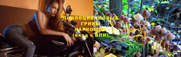 молекула духа Железногорск-Илимский