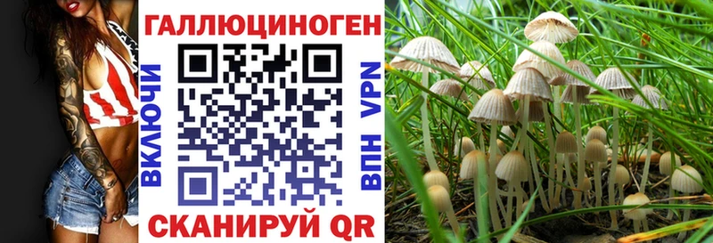 Купить  Костомукша  Галлюциногенные грибы GOLDEN TEACHER 
